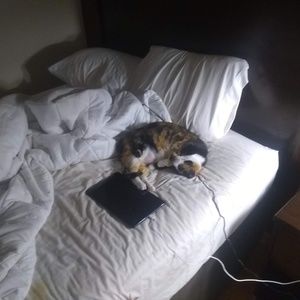 Meet your Posher, Heidi